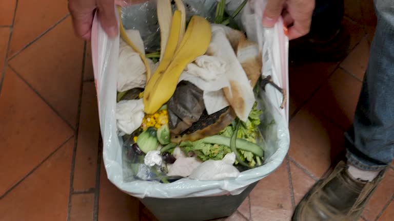 Best Dumpster Rental Services  in Nolensville, TN